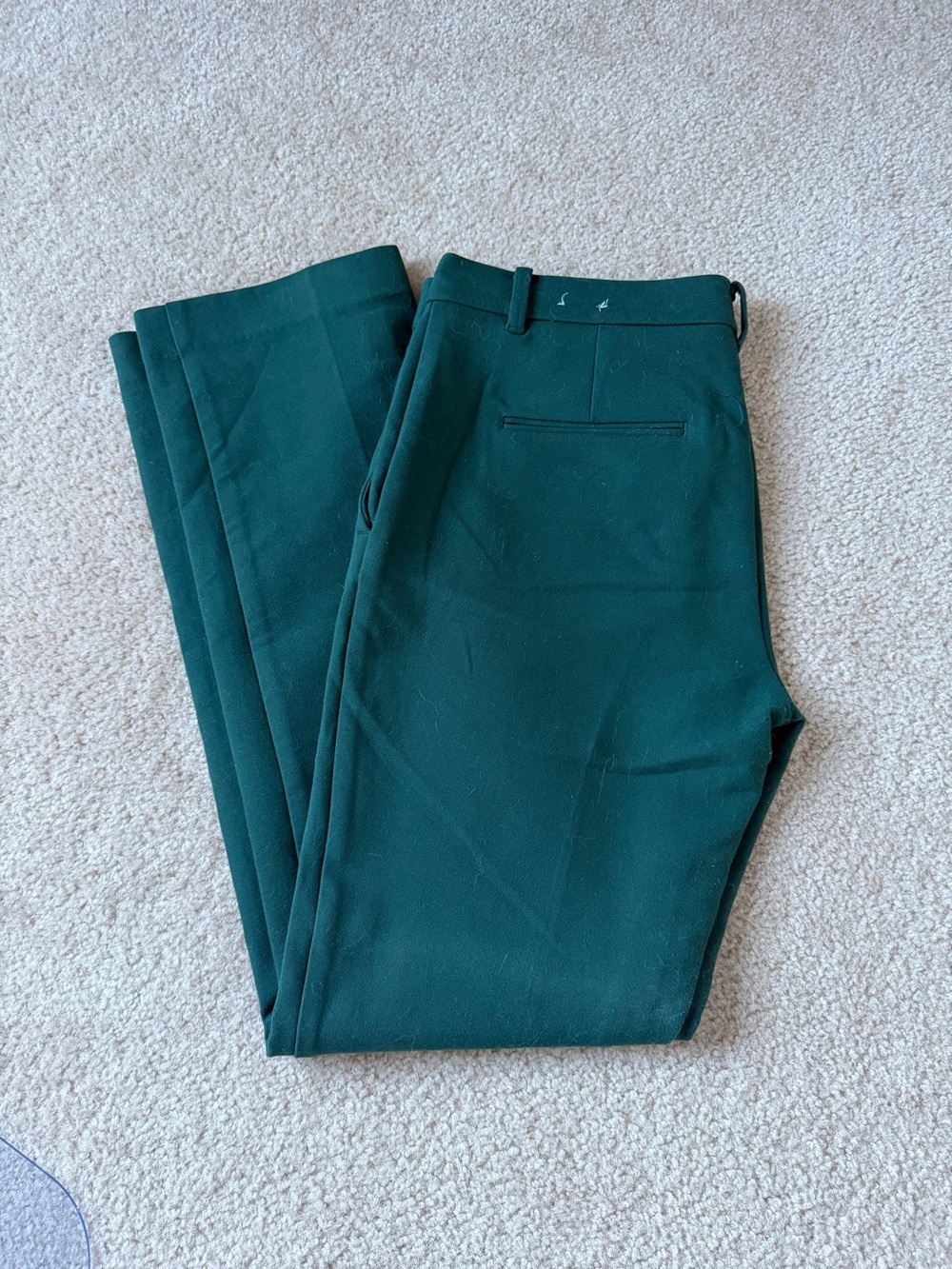 Ann Taylor Women’s Green Trouser/Dress Pants